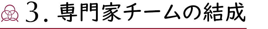 3.専門家チームの結成